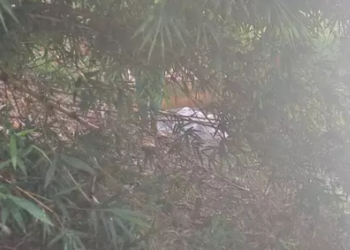 Após 9 dias desaparecido, corpo de paraguaio é encontrado no Rio Apa