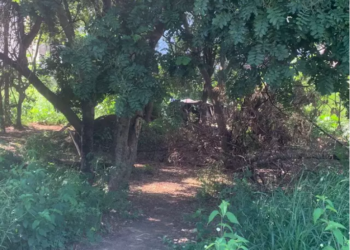 Corpo com sinais de asfixia é encontrado em área de mata no Recanto dos Pássaros