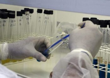 Lacen/MS recebe nota máxima em ensaios de proficiência e reforça excelência técnica