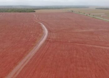 Com forte demanda do campo, FCO teve recorde de financiamentos no MS em 2025