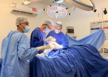 Programa Cinturão Ortopédico da SES registra quase 2 mil atendimentos de urgência em 6 meses