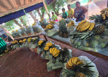 Agraer realiza primeira entrega do PAA em Sidrolândia para três CRAS do município