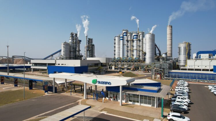 Suzano está com 10 processos seletivos abertos para atender suas operações em MS