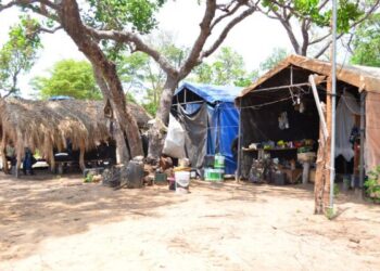 Plano Estadual reforça enfrentamento ao trabalho escravo após indenizações históricas em MS