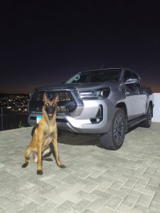 Polícia recupera camionete avaliada em mais de R$ 300 mil fruto de estelionato em MS