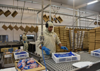 Indústria de MS encerrou 2025 com recorde nas exportações