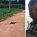 Capivara News TV: Após ser encontrado caído e coberto com terra, homem morre em UPA de Batayporã