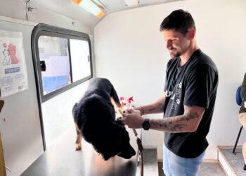 Confira a agenda do Consultório Móvel Animal neste mês de março na Capital