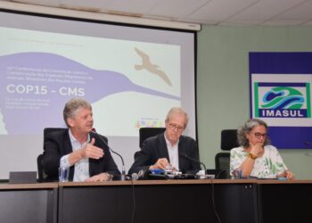 Espécies migratórias: COP15 em MS vai atrair milhares de especialistas de mais de 100 países em março