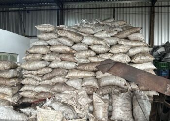 Carvoaria clandestina é fechada pela polícia em Campo Grande e dono e gerente presos