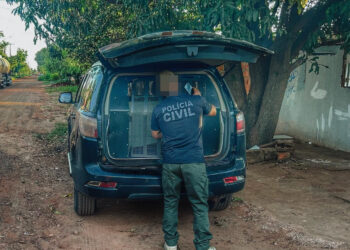 Polícia Civil prende suspeito de abusar sexualmente de três netas em Campo Grande