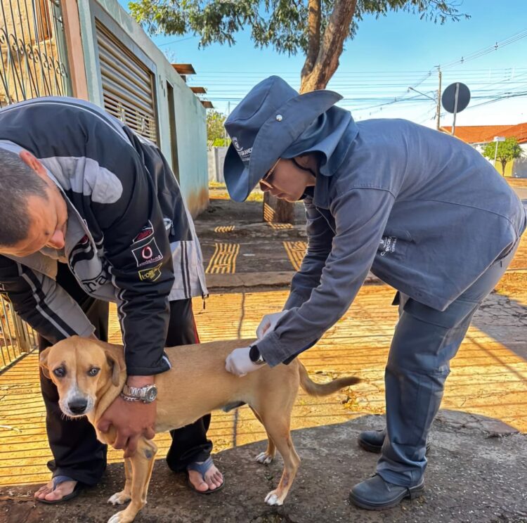 Sesau orienta vacinação após casos de raiva em morcegos em Campo Grande