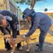 Sesau orienta vacinação após casos de raiva em morcegos em Campo Grande