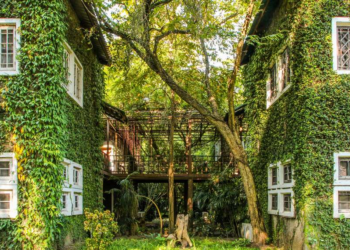 ARTIGO: Meio Ambiente e Urbanismo Contemporâneo