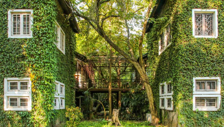 ARTIGO: Meio Ambiente e Urbanismo Contemporâneo