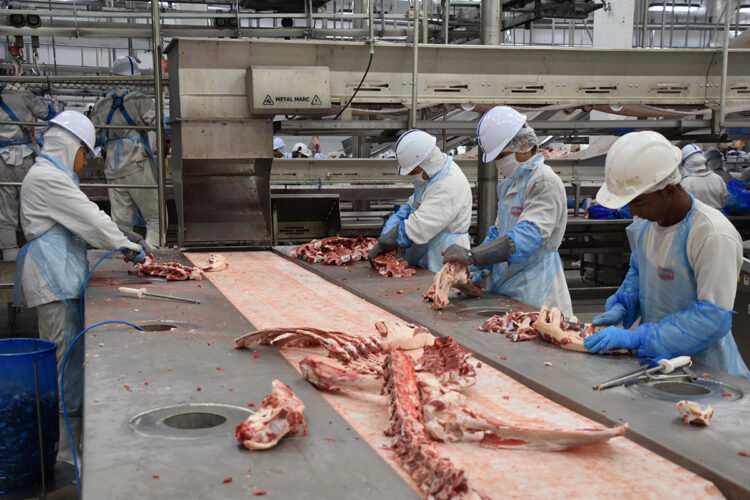 Indústria respondeu por mais da metade dos empregos formais criados em MS em 2025