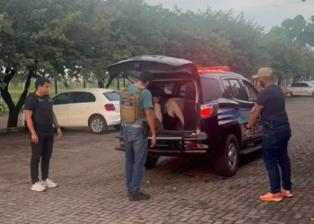 SIG DEAM captura homem que passou com o carro por cima da esposa e lhe causou fratura dentária