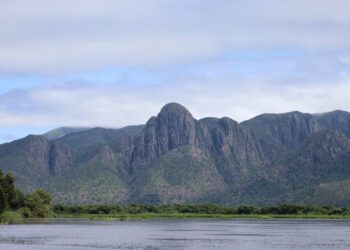 Para preservar o Pantanal, PSA Brigadas destinou mais de R$ 6,1 milhões para diferentes projetos sustentáveis