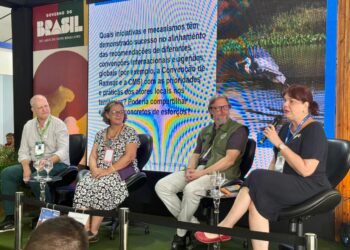 COP15: Painel resgata relação entre CNZU e Convenção Ramsar na manutenção das áreas úmidas