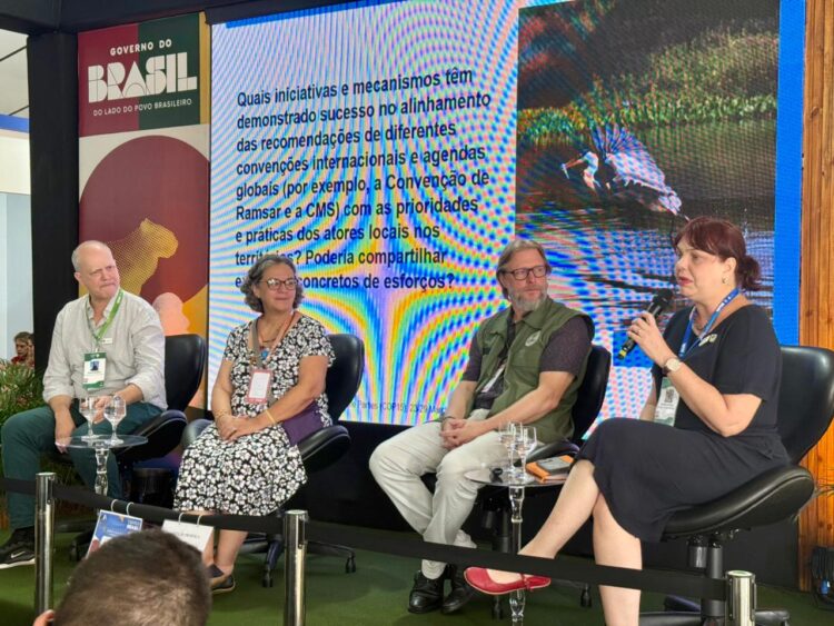 COP15: Painel resgata relação entre CNZU e Convenção Ramsar na manutenção das áreas úmidas
