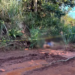 Corpo de mulher é encontrado em estrada de acesso ao Inferninho com tiro na testa