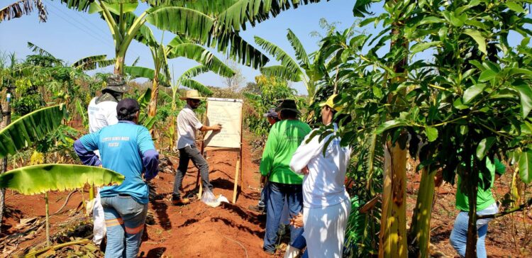 Suzano contribui para retirar mais de 140 mil pessoas da linha da pobreza em 5 anos em suas regiões de atuação