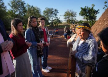 Camila Jara e Vander Loubet articulam ações emergenciais no Ministério da Saúde diante de surto de chikungunya em Dourados