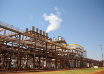 MS projeta safra recorde de etanol, com 5 bilhões de litros produzidos em 2025/2026