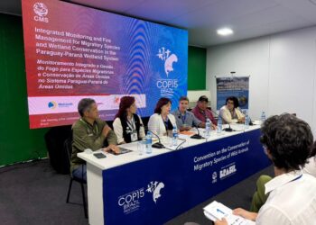 Painel sobre o fogo destaca tecnologias de monitoramento no Pantanal e dá protagonismo a brigadistas indígenas na COP15
