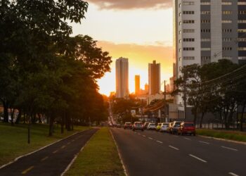 Pela 7ª vez seguida, Campo Grande conquista título Cidade Árvore do Mundo