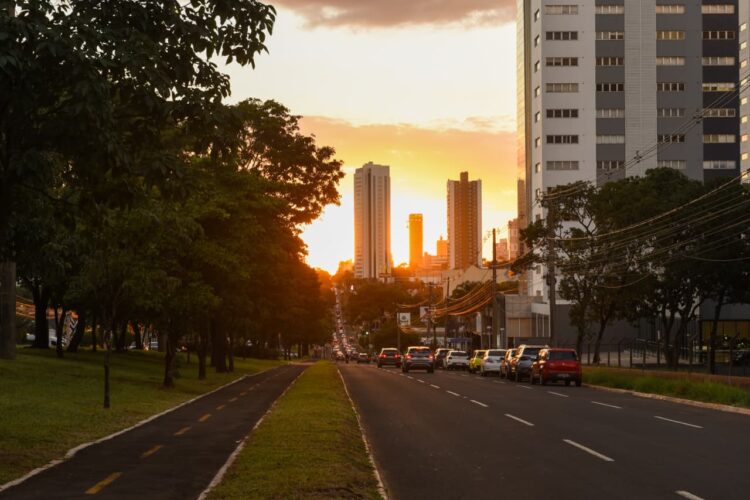 Pela 7ª vez seguida, Campo Grande conquista título Cidade Árvore do Mundo