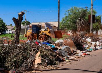 Guarda Municipal prende três, após flagrante de descarte ilegal no Jardim das Hortênsias