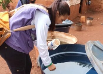 Governo de MS e Ministério da Saúde alinham ações contra arboviroses  em aldeias