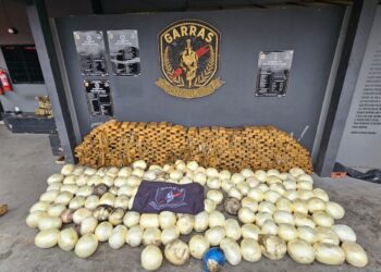 Garras apreende uma das maiores cargas de cocaína na Capital e prende cinco pessoas