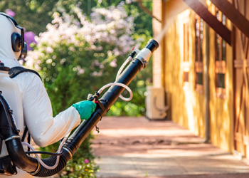 MS equipa 79 municípios com bombas costais para combater o mosquito da Dengue