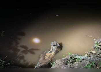 Pescador morre afogado ao escorregar de barranco e cair no rio na região do Jatobá