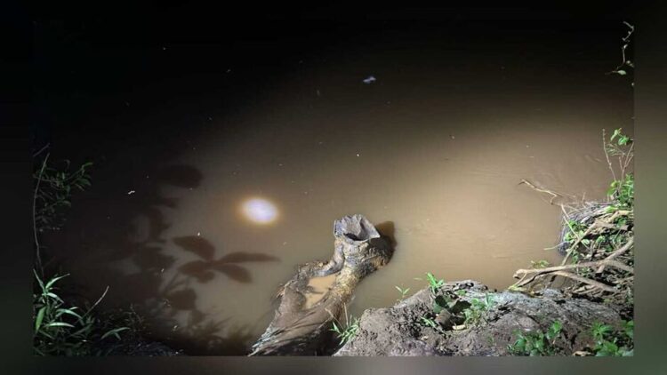 Pescador morre afogado ao escorregar de barranco e cair no rio na região do Jatobá