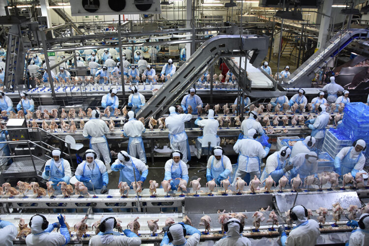 Exportações de industrializados de MS alcançou US$ 646,4 milhões no mês passado