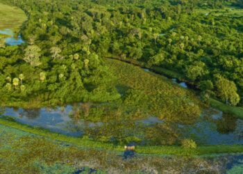 Instituições abrem consulta pública para ouvir especialistas sobre impacto ambiental no Pantanal