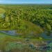 Instituições abrem consulta pública para ouvir especialistas sobre impacto ambiental no Pantanal