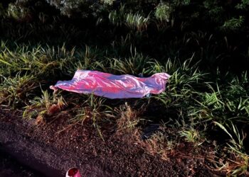 Capivara News TV: A caminho de velório, condutor de carro atropela e mata motociclista na BR-376 em Ivinhema