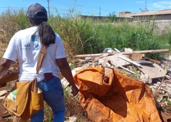 Saúde divulga 1º LIRAa de 2026 e detalha risco de arboviroses em cidades de MS