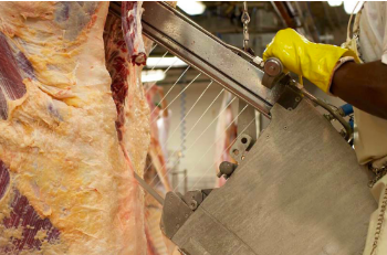 Rapaz morre, após cortar artéria do braço ao desossar boi em frigorífico de Aparecida do Taboado