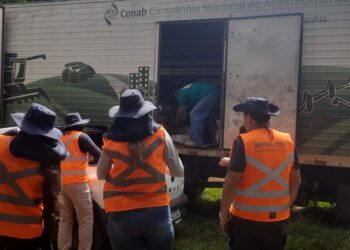 Estado reforça articulação com municípios e Defesa Civil e amplia ações contra chikungunya