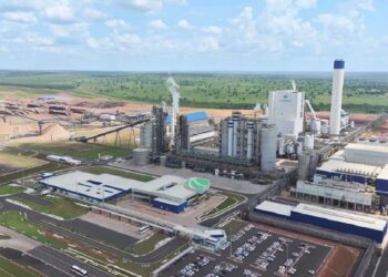 Suzano abre vagas em três cidades de MS para áreas florestal e de manutenção