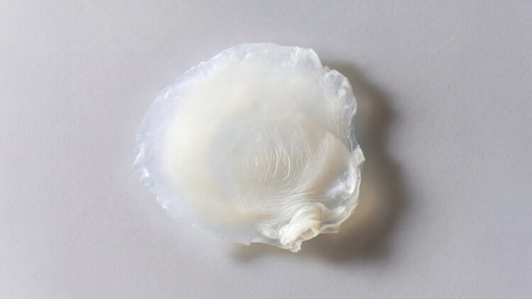 Avon desenvolve primeira pele bioimpressa em laboratório que reproduz efeitos da menopausa