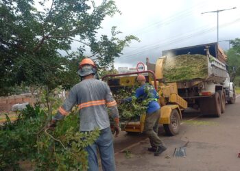 Equipes são qualificadas para diagnóstico e prevenção de queda de árvores em Campo Grande