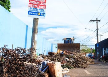 Em 24 horas, 231 usuários utilizam o +CG para denunciar terrenos baldios