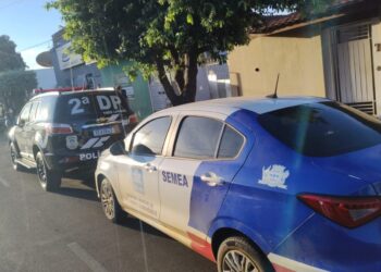 Mulher é presa por manter vários cães e gatos com carrapatos sendo que 1 morreu em Três Lagoas