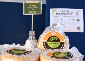 Alunos preparam mil queijos para festa em Rochedinho